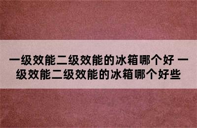 一级效能二级效能的冰箱哪个好 一级效能二级效能的冰箱哪个好些